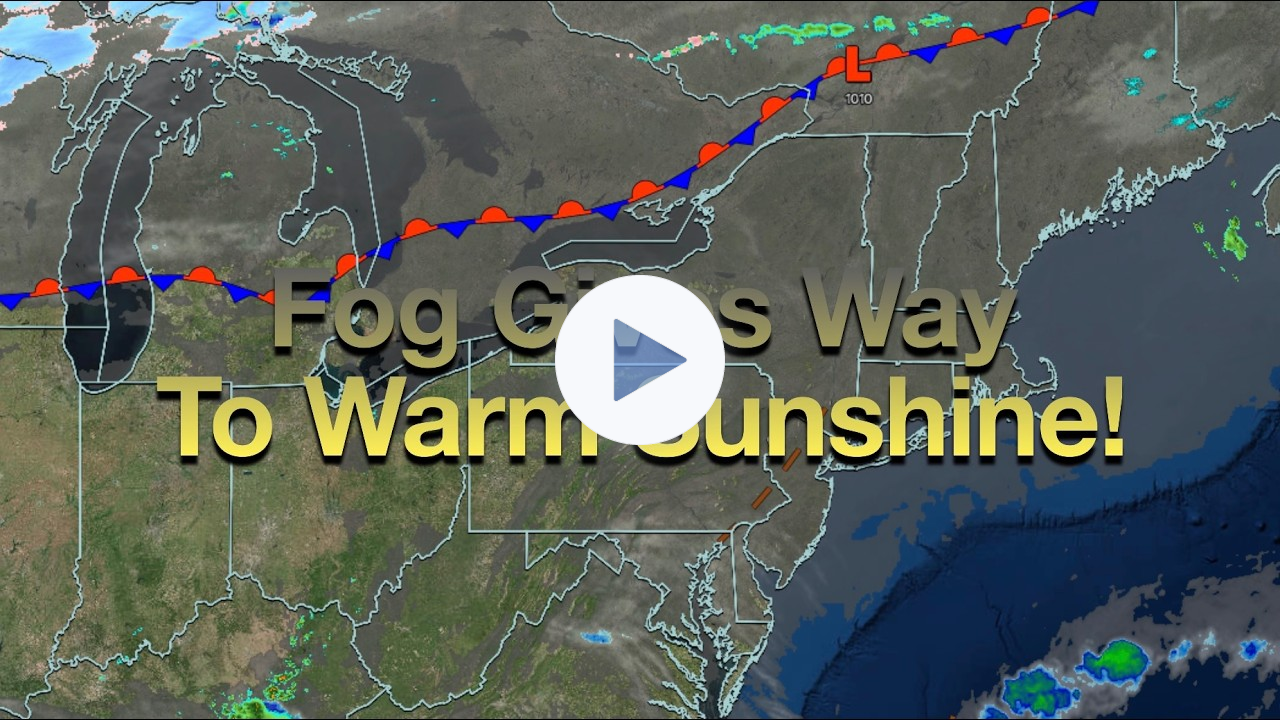 Fog Gives Way To Warm Sunshine!