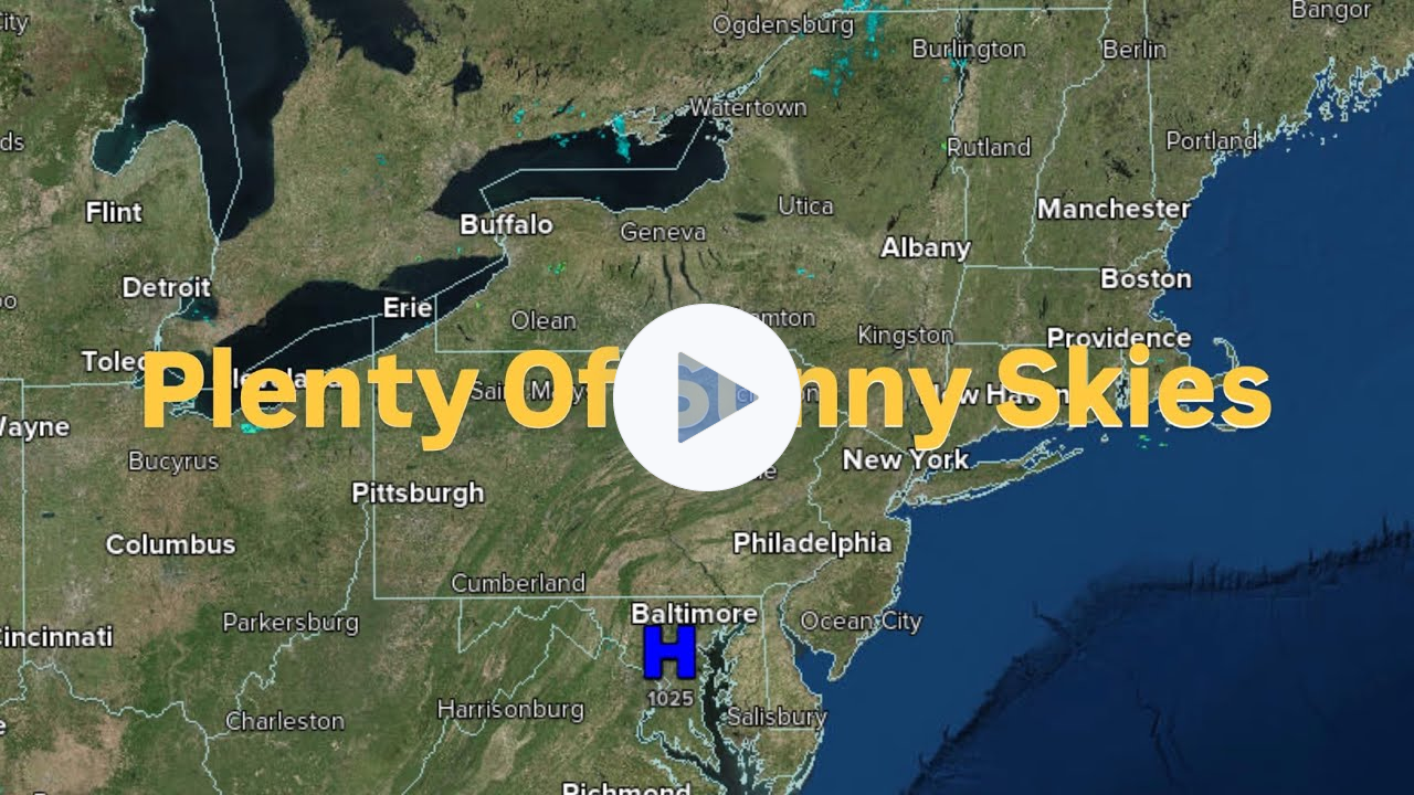 Plenty Of Sunny Skies