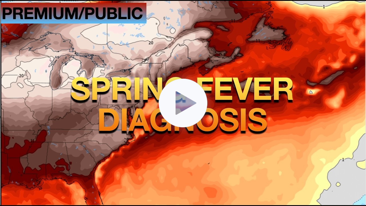 Spring Fever Diagnosis