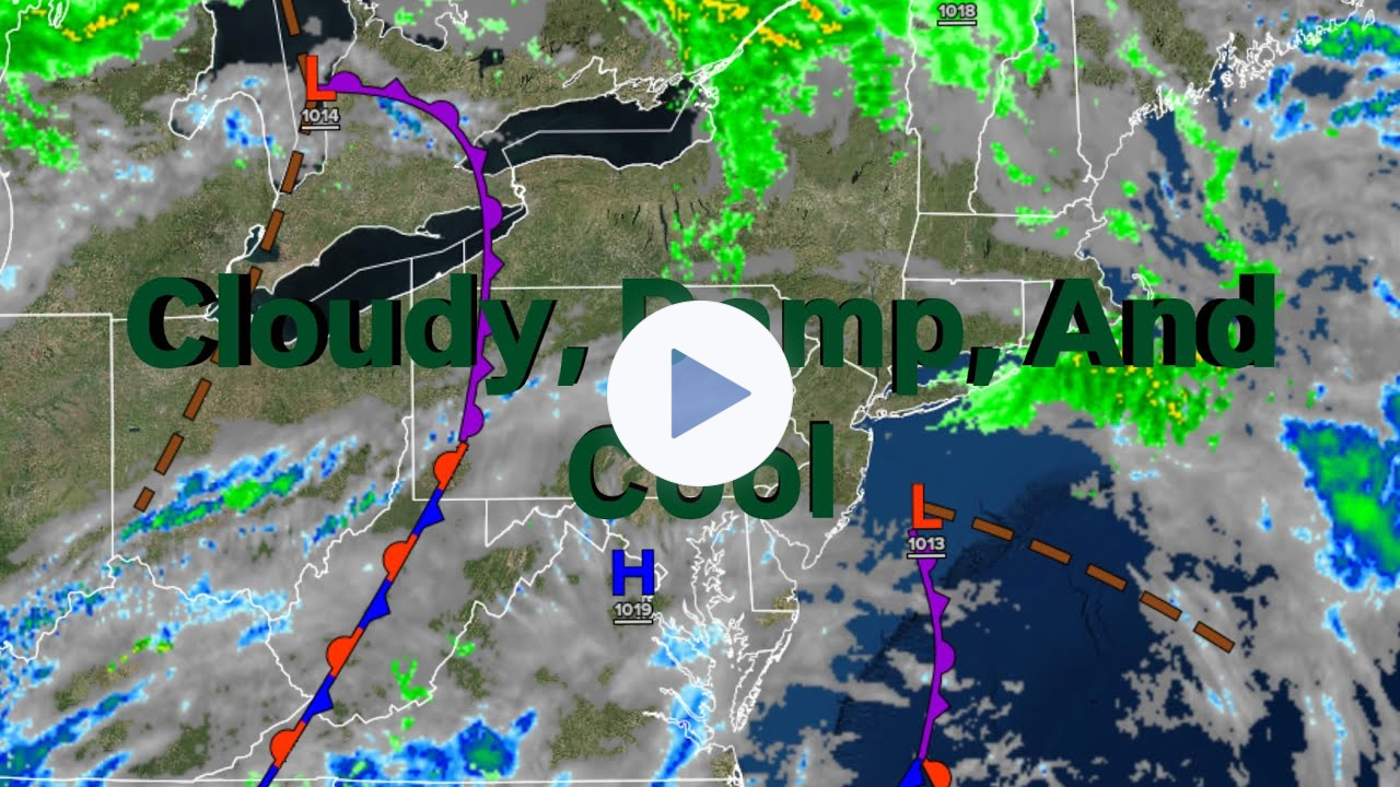 Cloudy, Damp, and Cool