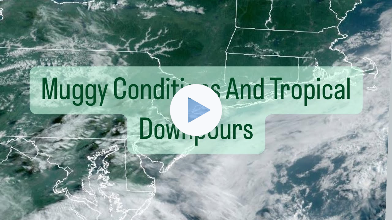 Muggy Conditions And Tropical Downpours