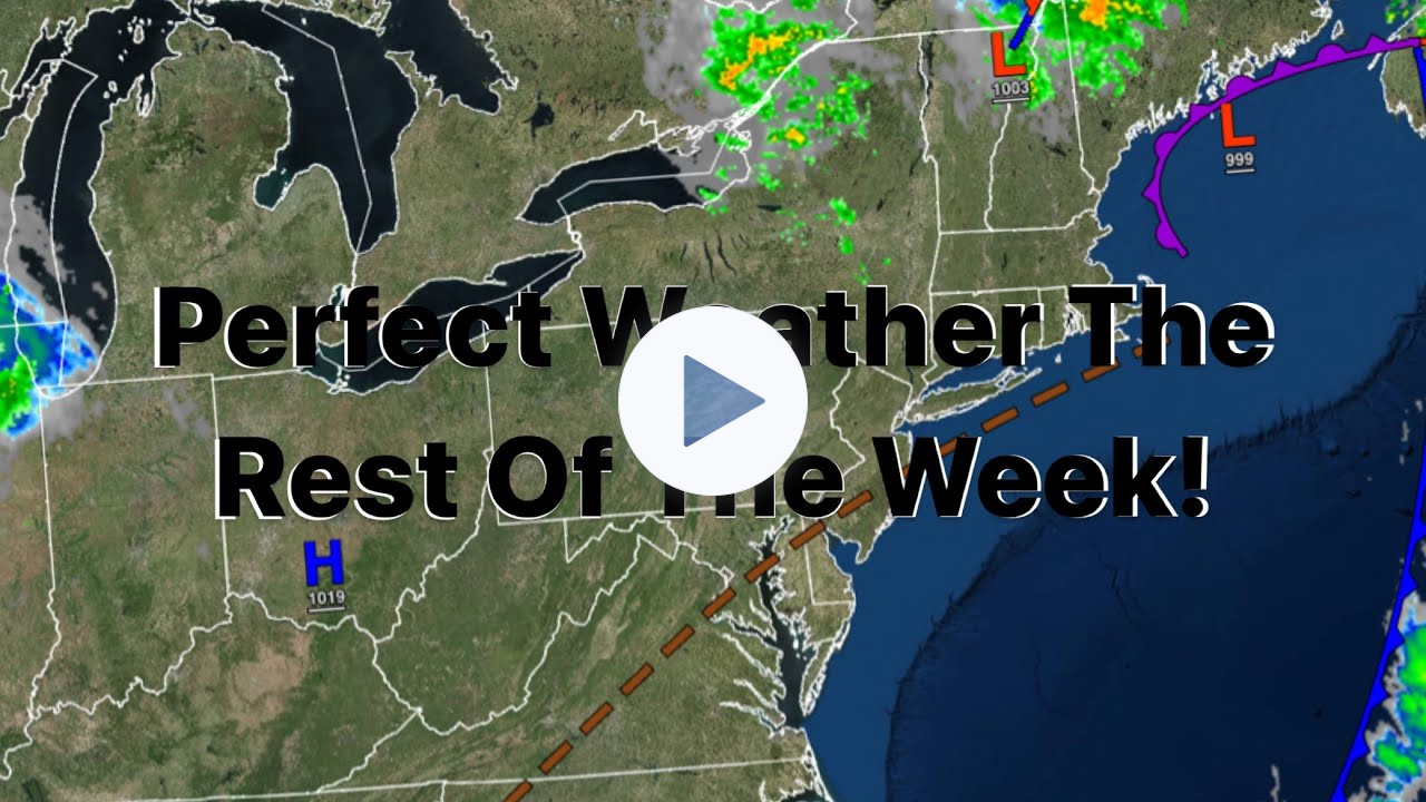 Perfect Weather The Rest Of The Week!