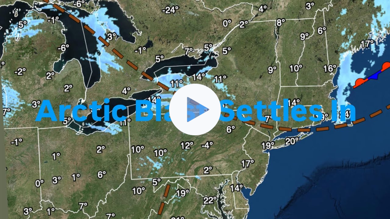 Arctic Blast Settle In