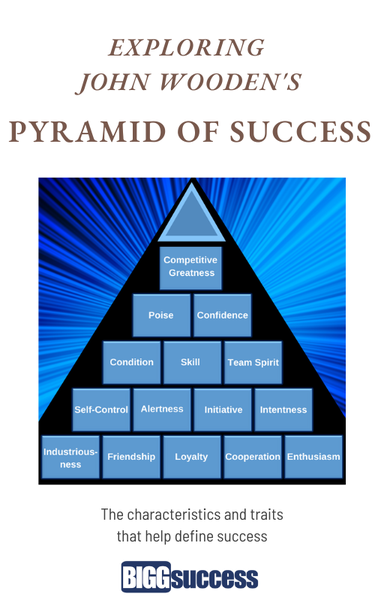 The Art of Persuasion book