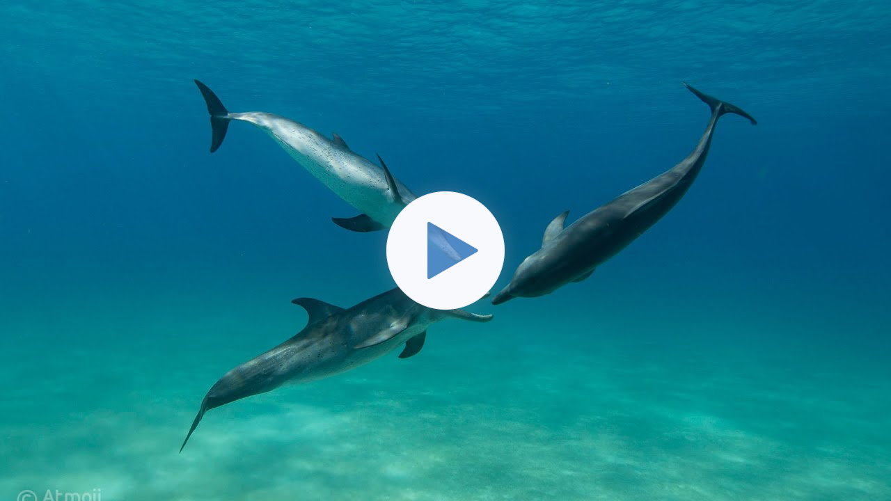 The Astrology of Water in The Bahamas!