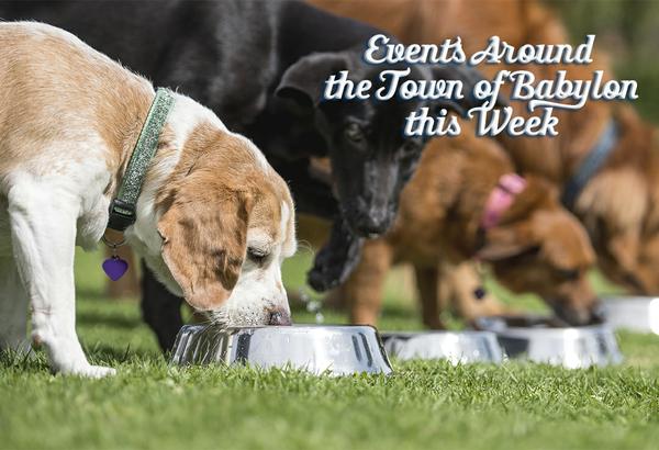 Events Around the Town of Babylon
