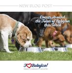 Events Around the Town of Babylon
