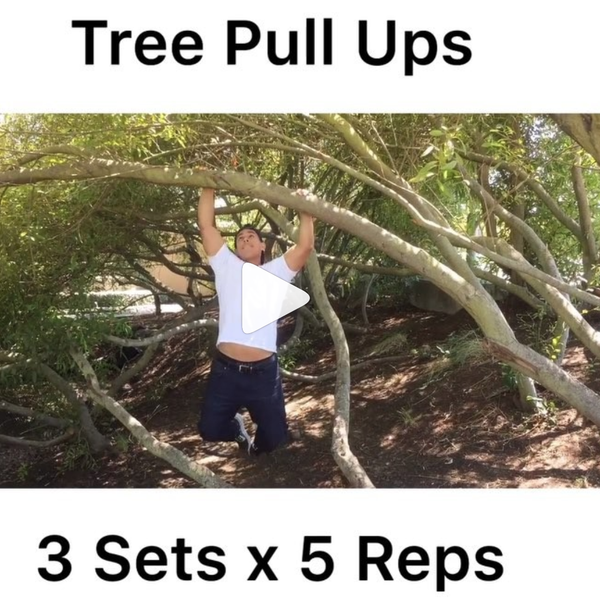 Tree Pull Up Workout