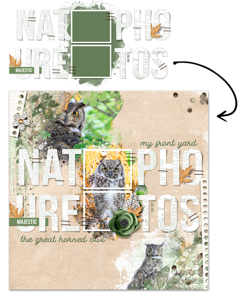 Sample page using Bold Title Separates