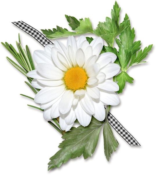 Cluster Challenge Image