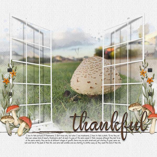 Sample Layout from the Gallery