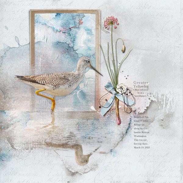 Sample Layout from the Gallery