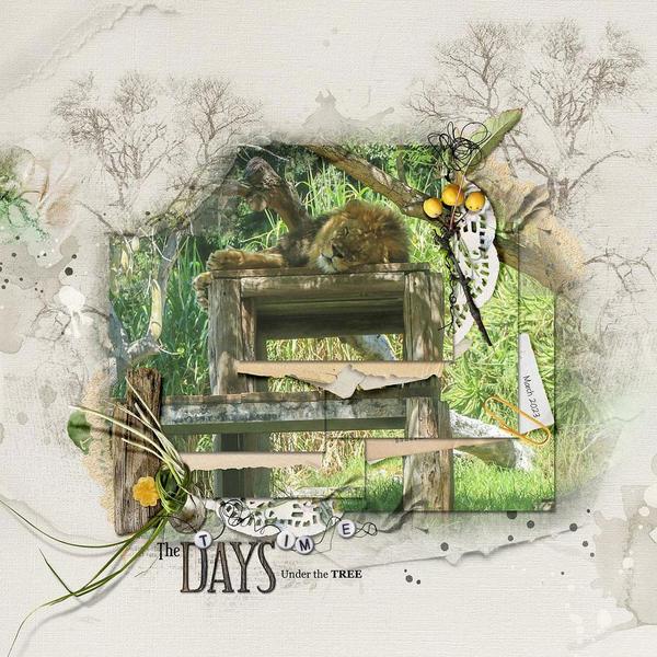 Sample Layout from the Gallery