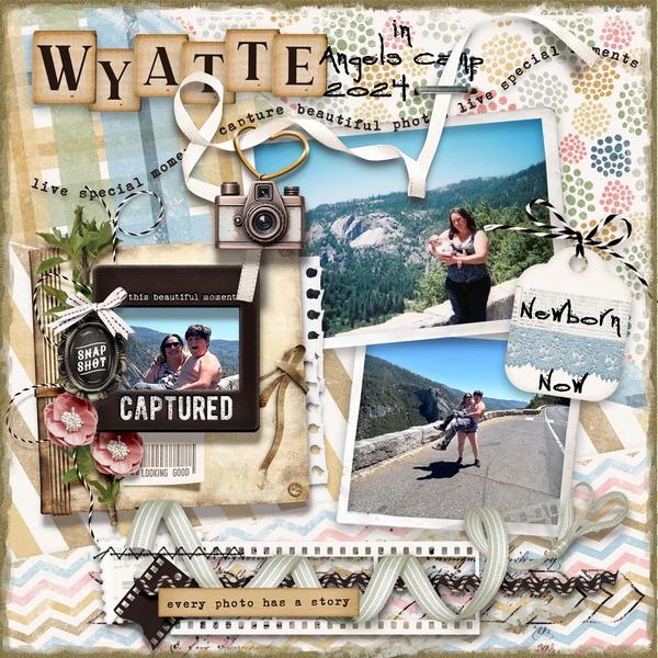 Sample Layout from the Gallery