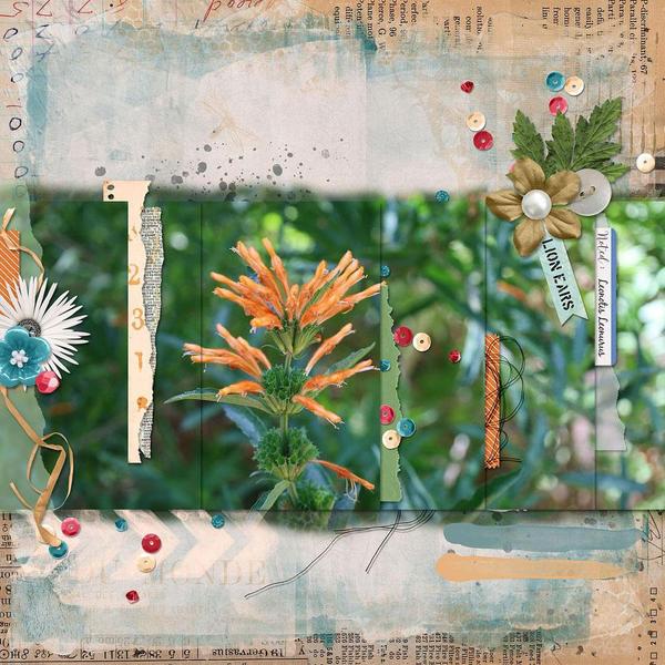 Sample Layout from the Gallery