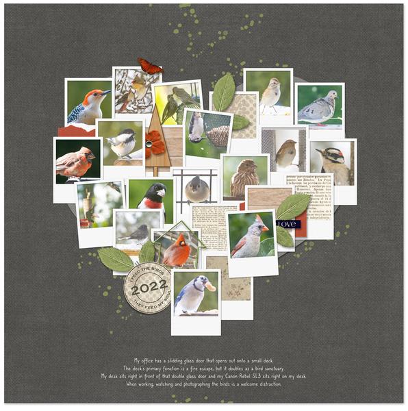 Sample page from this month's Digital Scrapper Premier