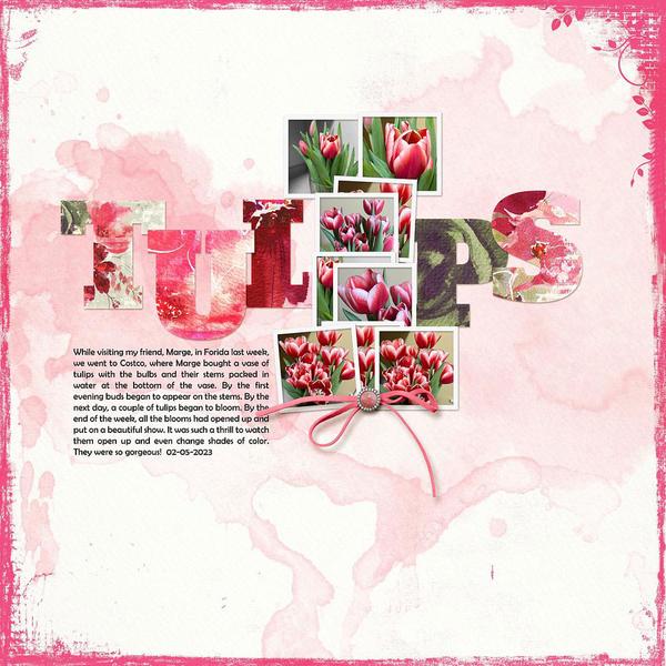 Sample Layout from the Gallery