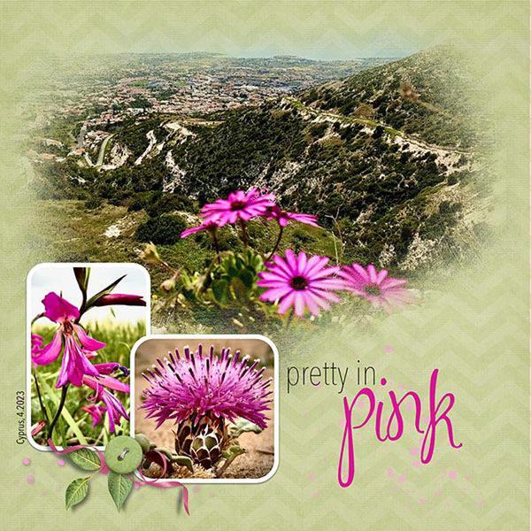 Sample Layout from the Gallery