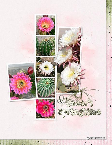 Sample Layout from the Gallery