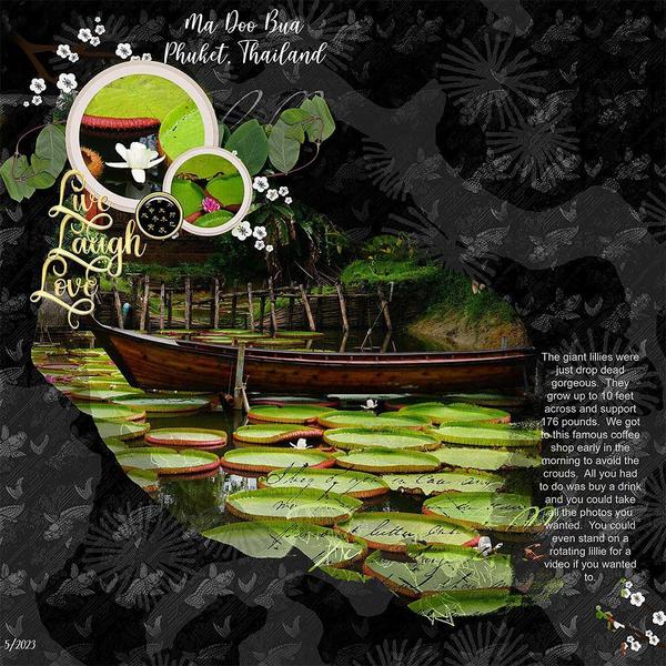 Sample Layout from the Gallery