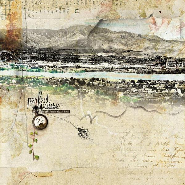 DSP23 Vol 7 by Barbara H