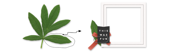 Exracting Part of an Element