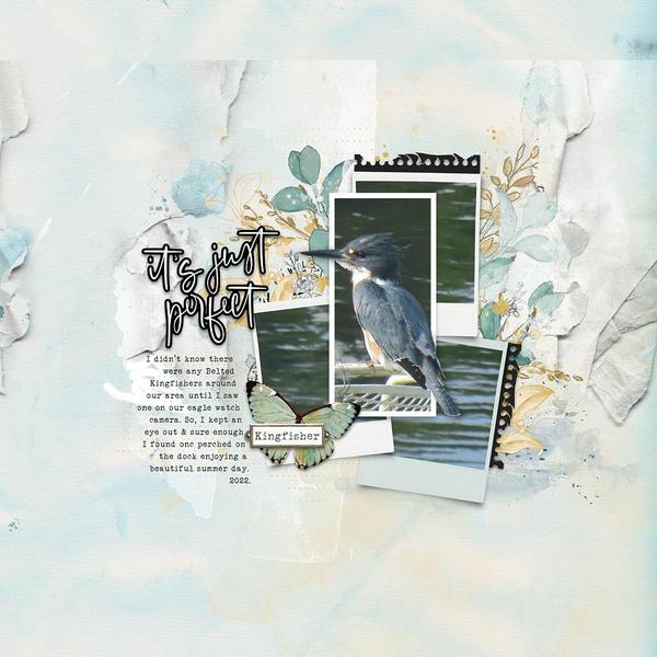 Sample Layout from the Gallery