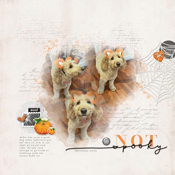 Sample Layout from the Gallery