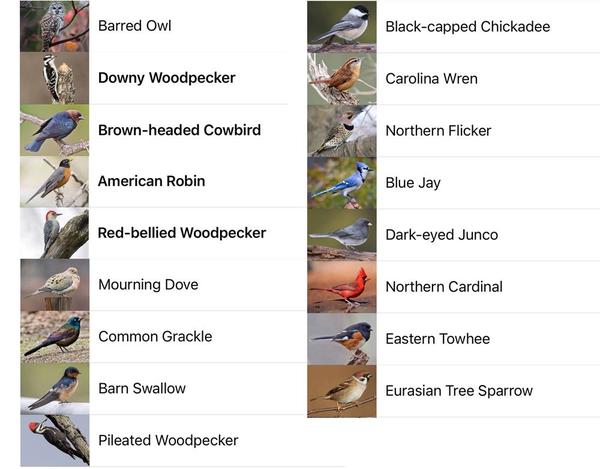 Sample page with a problem