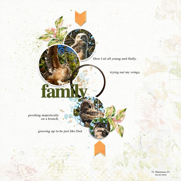 Sample Layout from the Gallery