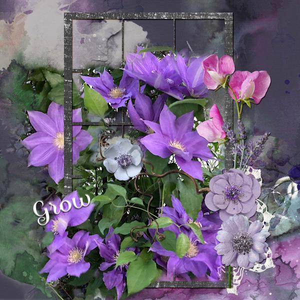 Sample Layout from the Gallery