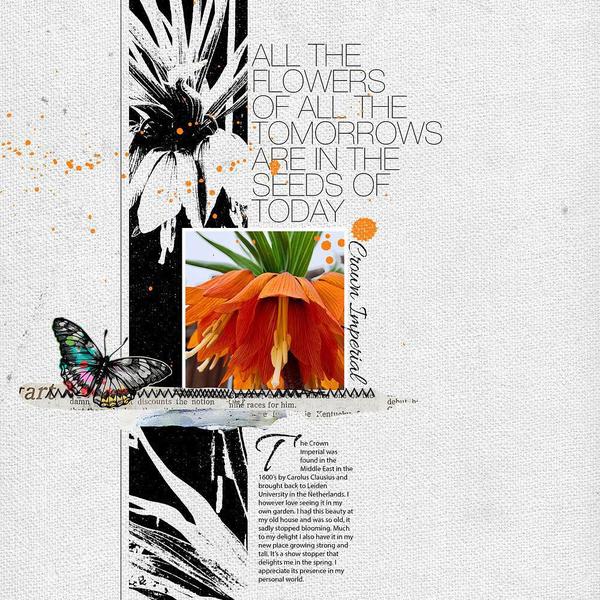 Sample Layout from the Gallery