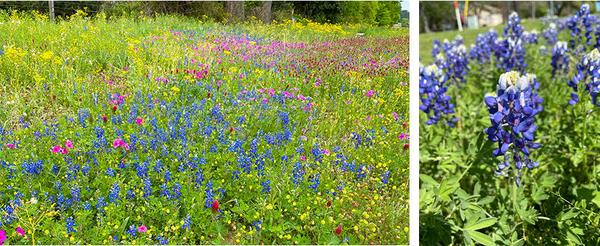 Sample page with a problem