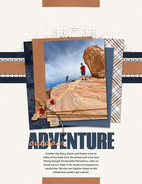 Sample Layout from the Gallery