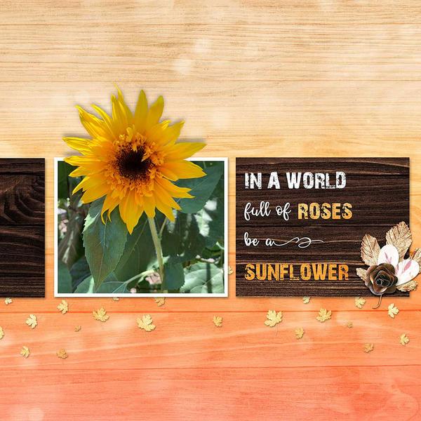 Sample Layout from the Gallery