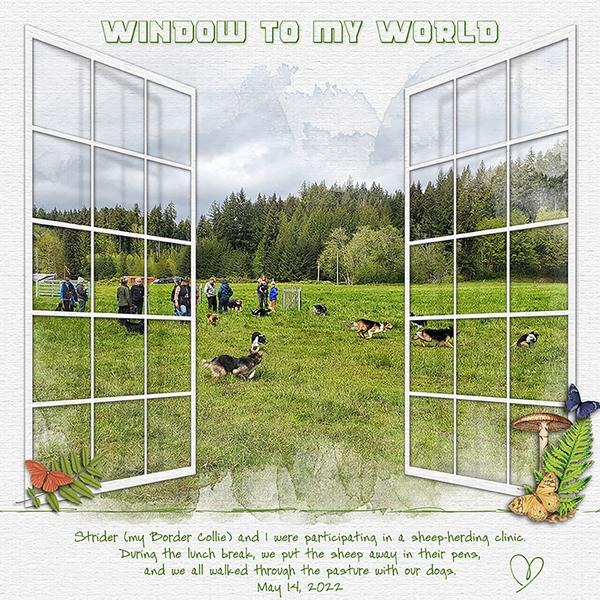 Sample Layout from the Gallery