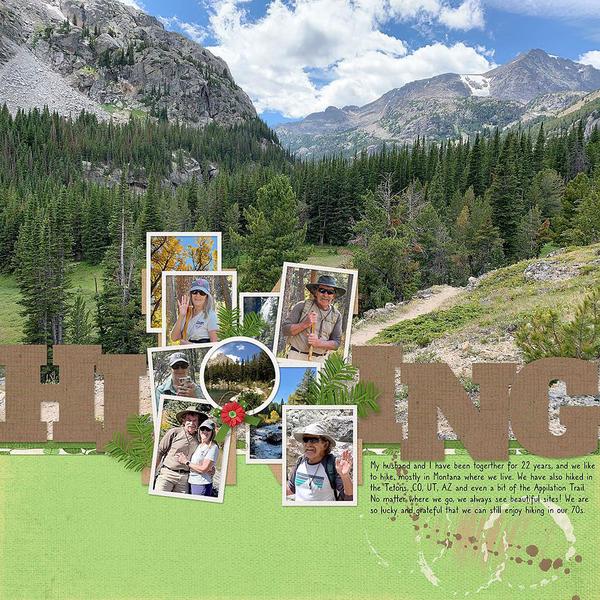 Sample Layout from the Gallery