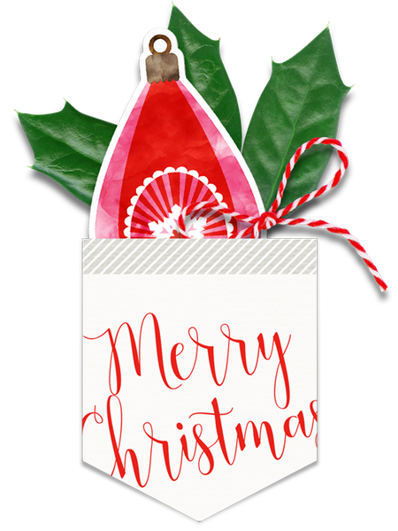 Christmas Card Chevron