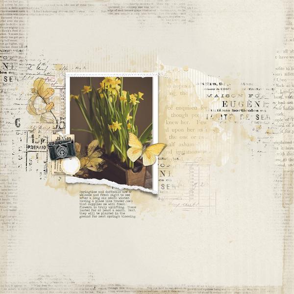 Sample Layout from the Gallery