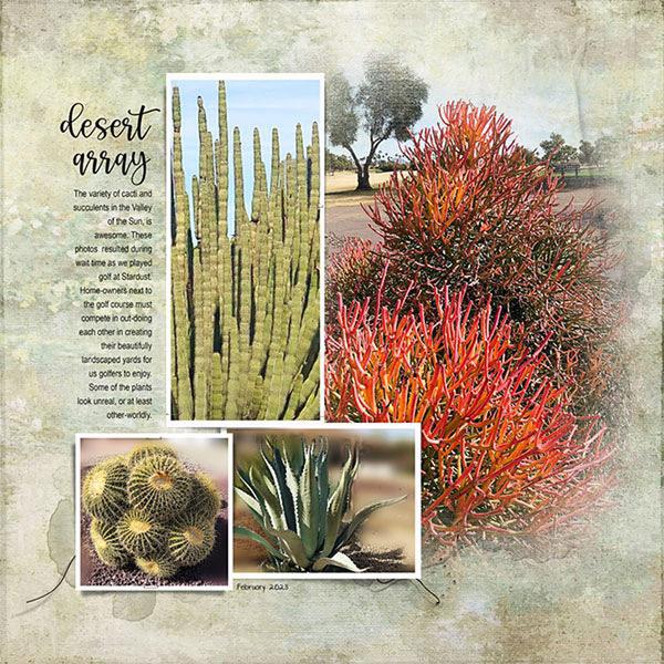 Sample Layout from the Gallery