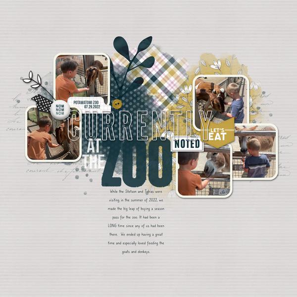 Sample Layout from the Gallery