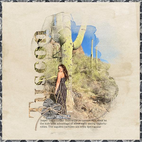 Sample Layout from the Gallery