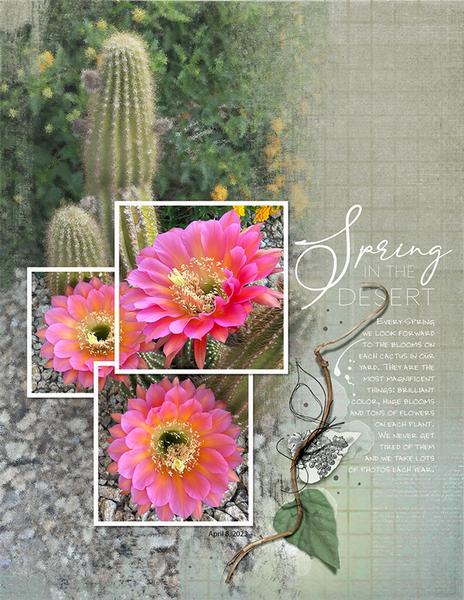 Sample Layout from the Gallery