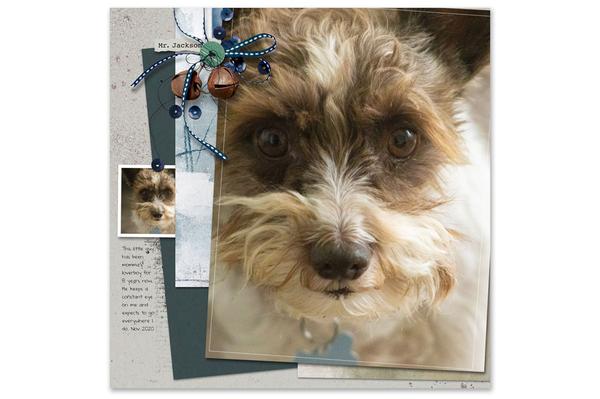 Sample page with a minimal white background