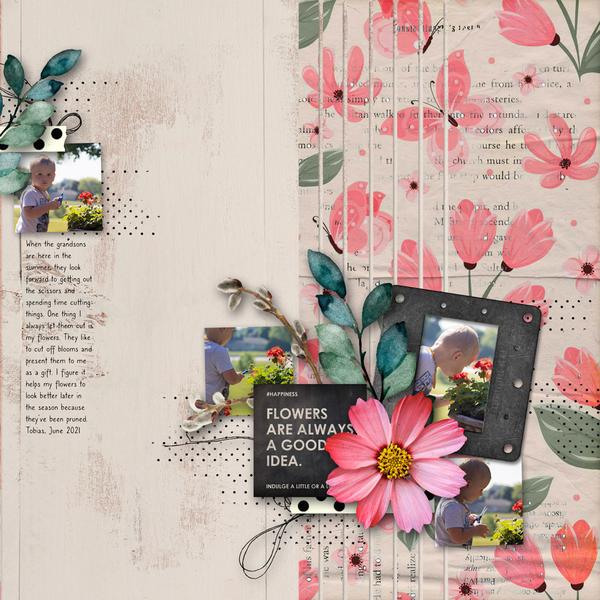 Sample Layout from the Gallery