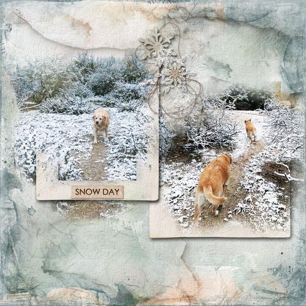 Sample Layout from the Gallery