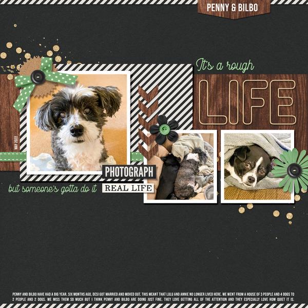 Sample Page from 10 Timeless Titles - Outline Title