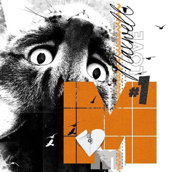 Sample Layout from the Gallery