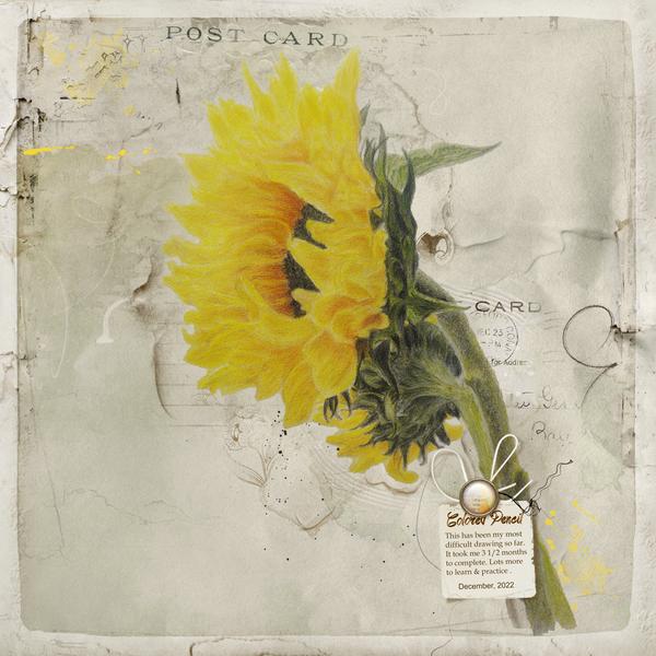 Sample Layout from the Gallery