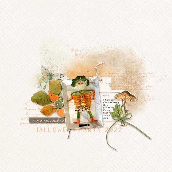 Sample Layout from the Gallery